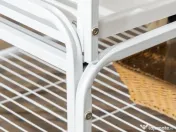 Colivie mare papagal 