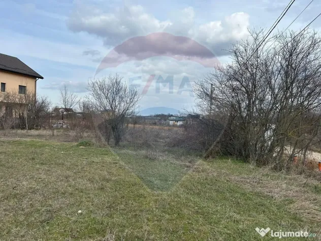 Vanzare Teren Izvorani / Strada Gradinarilor/Complex Olimpic
