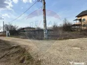 Vanzare Teren Izvorani / Strada Gradinarilor/Complex Olimpic 