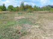 Teren 1,070mp Corbeanca / Strada Ghioceilor 