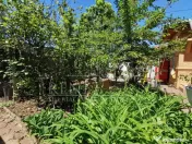 Casa Strada Muntii Carpati, 3 camere, curte proprie 