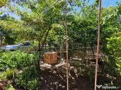 Casa Strada Muntii Carpati, 3 camere, curte proprie 