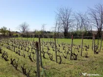 Teren intravilan - Loc de Casa