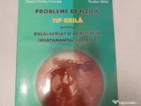 Probleme de fizica Tip grila 