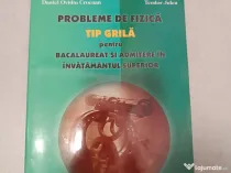 Probleme de fizica Tip grila