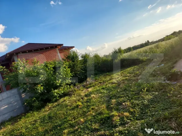 Casă cu teren 28,67 ari Botiz