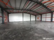 Hala noua in zona Drumul Intre Tarlale 