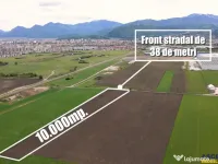 FILM! Teren intravilan, cu PUZ, pe 10.000 mp, Grivitei, Bras 