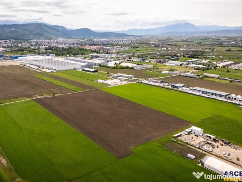 FILM! Teren intravilan, cu PUZ, pe 10.000 mp, Grivitei, Bras