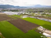 FILM! Teren intravilan, cu PUZ, pe 10.000 mp, Grivitei, Bras 