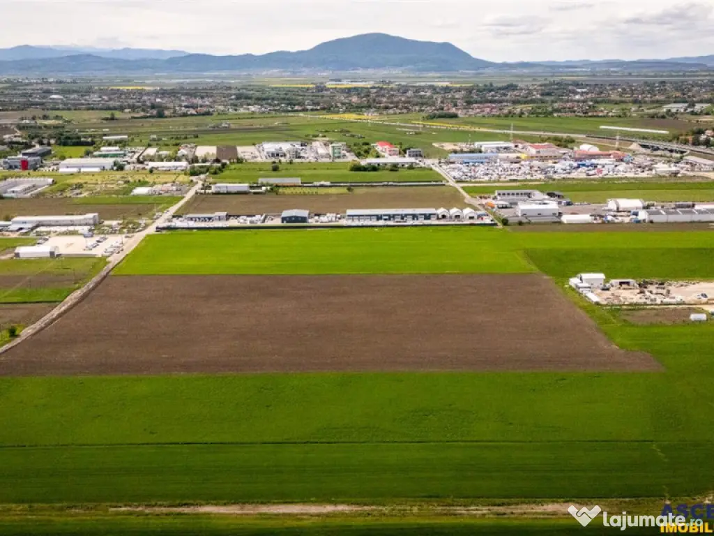 FILM! Teren intravilan, cu PUZ, pe 10.000 mp, Grivitei, Bras