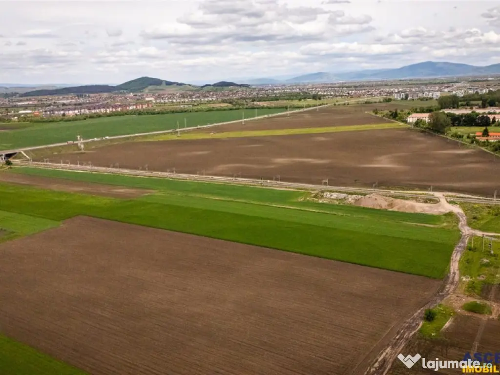 FILM! Teren intravilan, cu PUZ, pe 10.000 mp, Grivitei, Bras