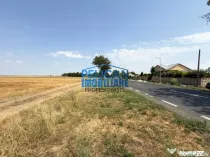 Teren intravilan M. Kogalniceanu, 4000MP, la drumul national