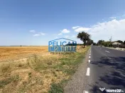 Teren intravilan M. Kogalniceanu, 4000MP, la drumul national