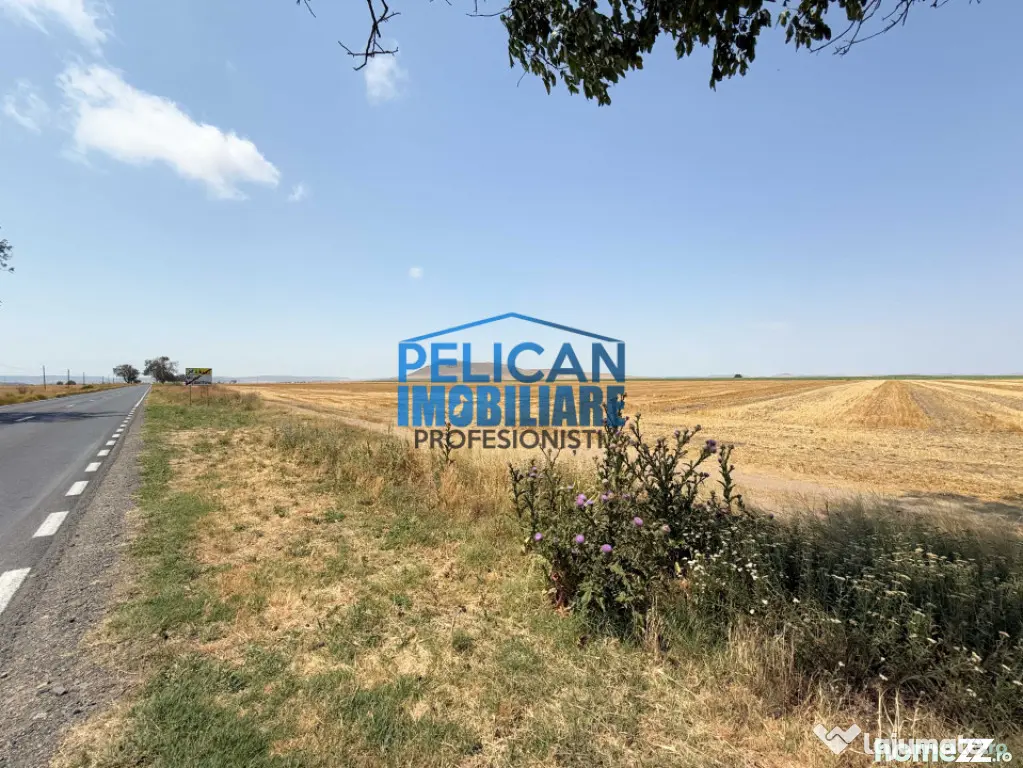 Teren intravilan M. Kogalniceanu, 4000MP, la drumul national - Mihail Kogalniceanu (Tulcea)