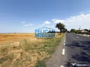 Teren intravilan M. Kogalniceanu, 4000MP, la drumul national 
