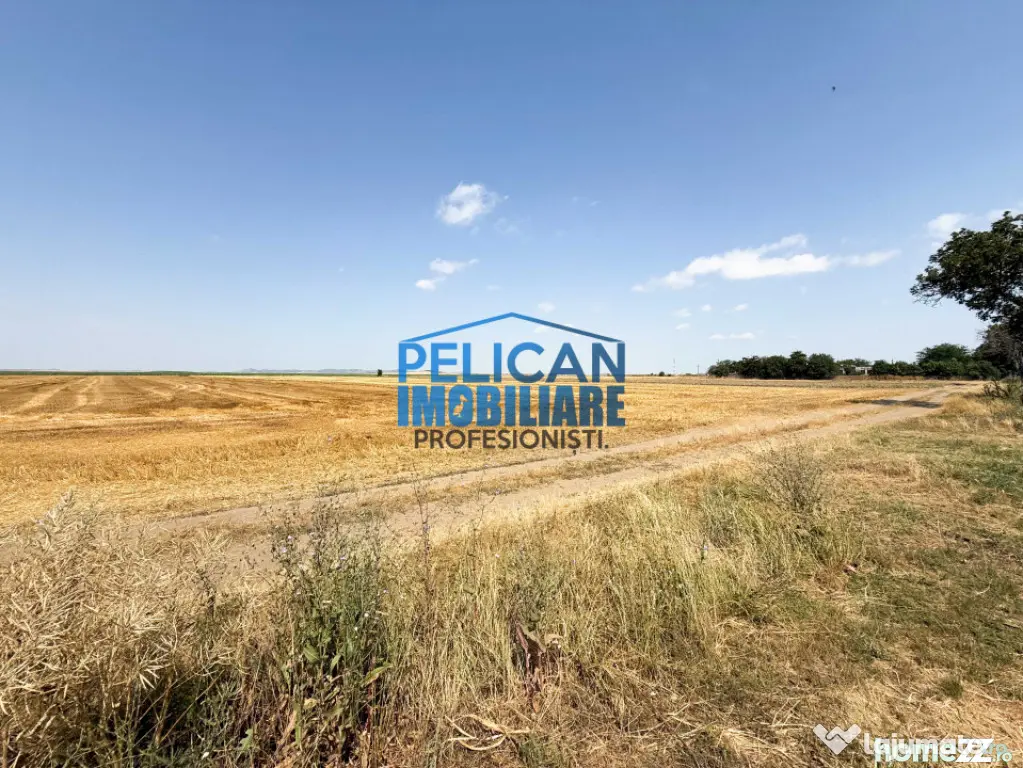 Teren intravilan M. Kogalniceanu, 4000MP, la drumul national - Mihail Kogalniceanu (Tulcea)