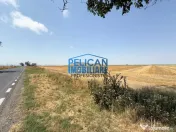 Teren intravilan M. Kogalniceanu, 4000MP, la drumul national 