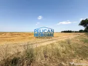 Teren intravilan M. Kogalniceanu, 4000MP, la drumul national 