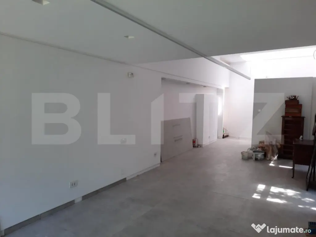 Spatiu birou in vila, 117 mp, cu gradina, cartier Andrei Mur