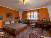 FILM! Casa traditionala, pe domeniu pretios, de 7.608 mp, Ce 