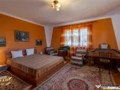 FILM! Casa traditionala, pe domeniu pretios, de 7.608 mp, Ce 