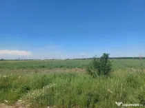 Teren Ciorogarla- Viitorului