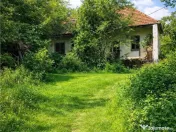 Domeniu verde autentic, 5.000mp, front la DJ, Valcele, Bra 