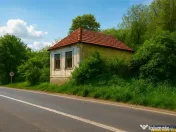 Domeniu verde autentic, 5.000mp, front la DJ, Valcele, Bra 