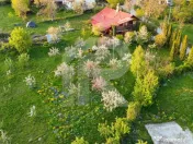 Teren intravilan Slanic Prahova 