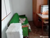 Camera camin Valea Rosie 