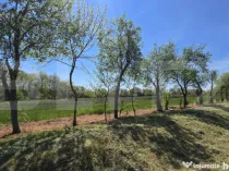 Teren intravilan de vanzare, 2000 mp, constructii case/duple