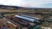 Teren pentru Hală Industrială | 1.729 mp | Utilități ...