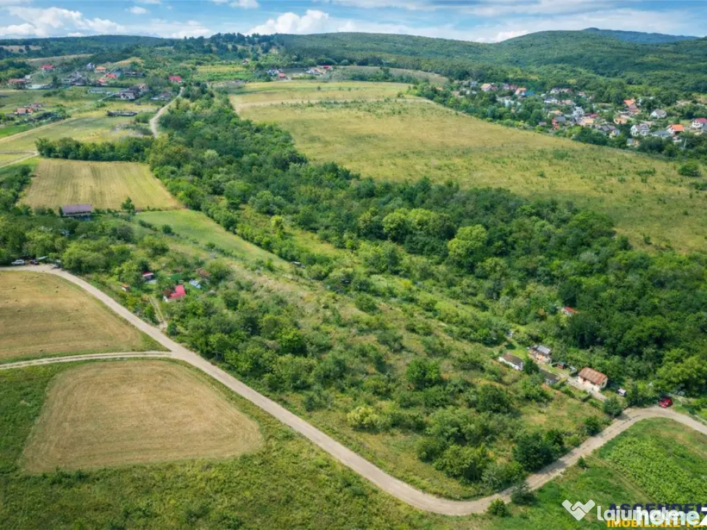 FILM! Confortabila ariere, 4.500 mp, arbori roditori, Sancra