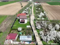 TARTASESTI, LOT 801 MP!