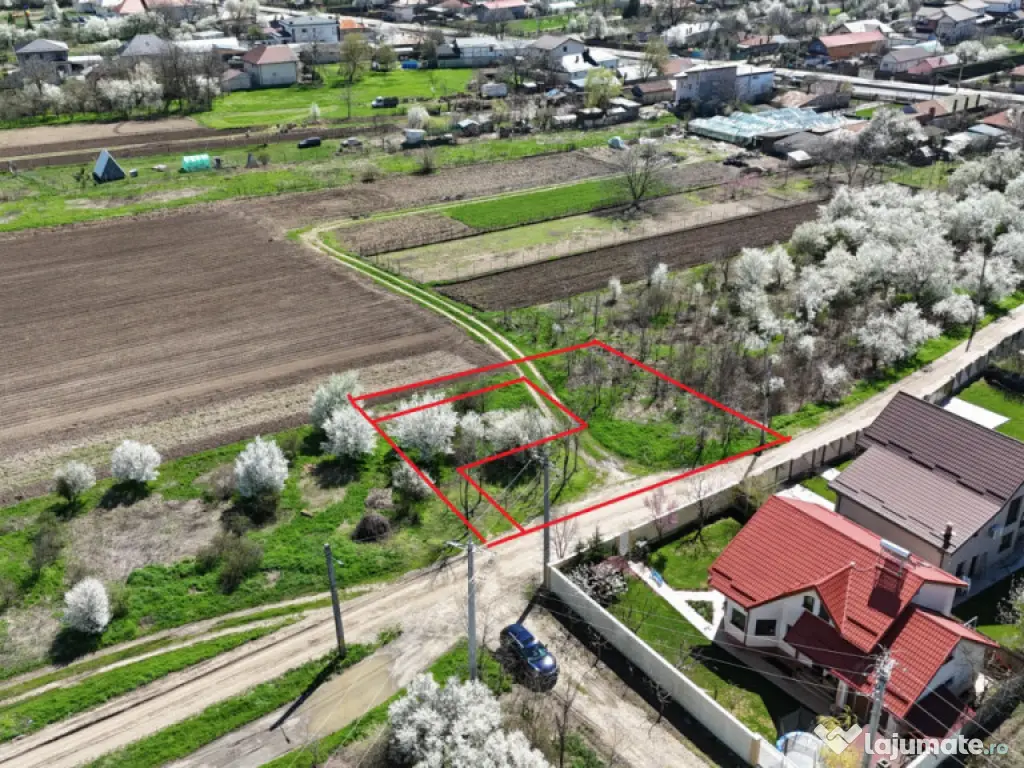 TARTASESTI, LOT 801 MP!