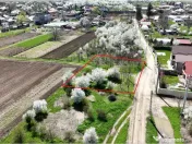 TARTASESTI, LOT 801 MP! 