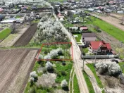 TARTASESTI, LOT 801 MP! 