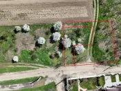 TARTASESTI, LOT 801 MP! 