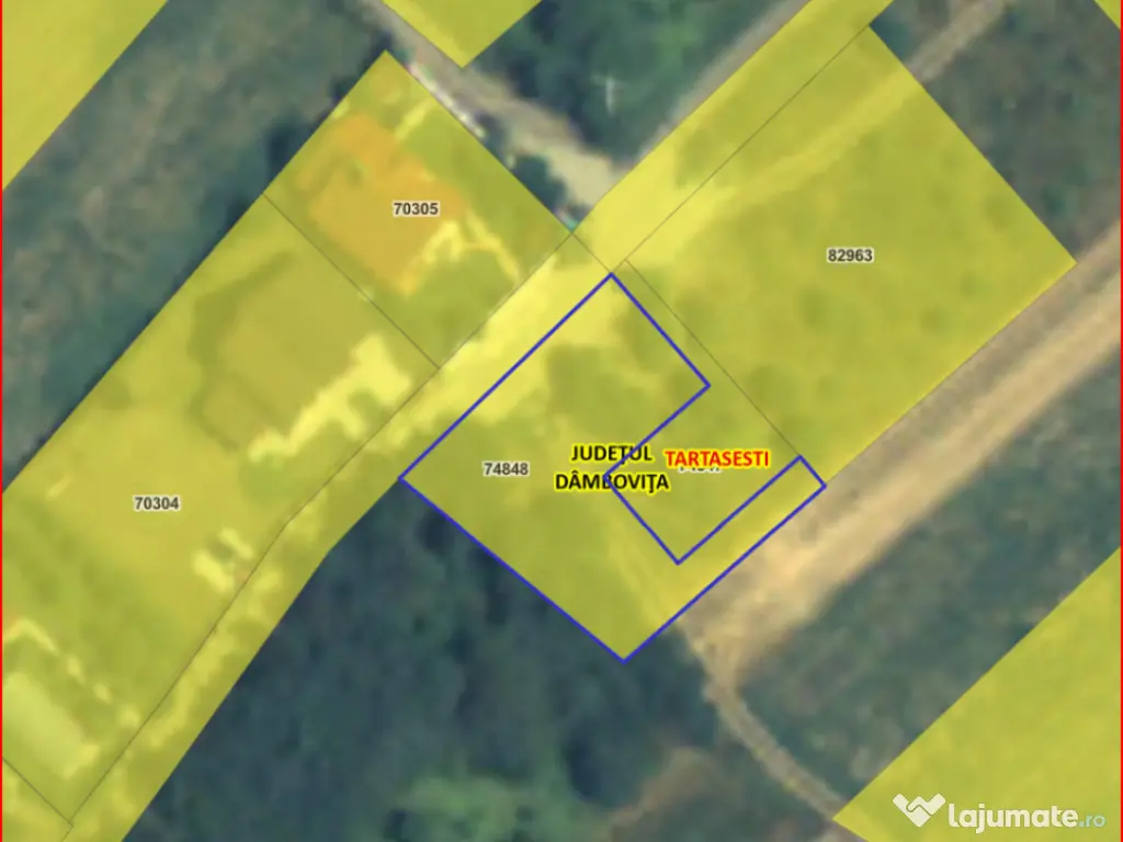 TARTASESTI, LOT 801 MP!