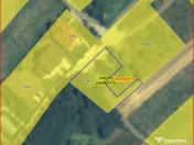 TARTASESTI, LOT 801 MP! 