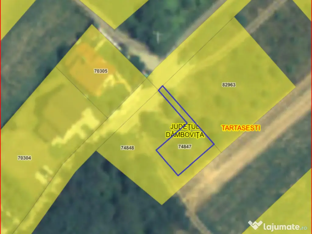 TARTASESTI, LOT 801 MP!