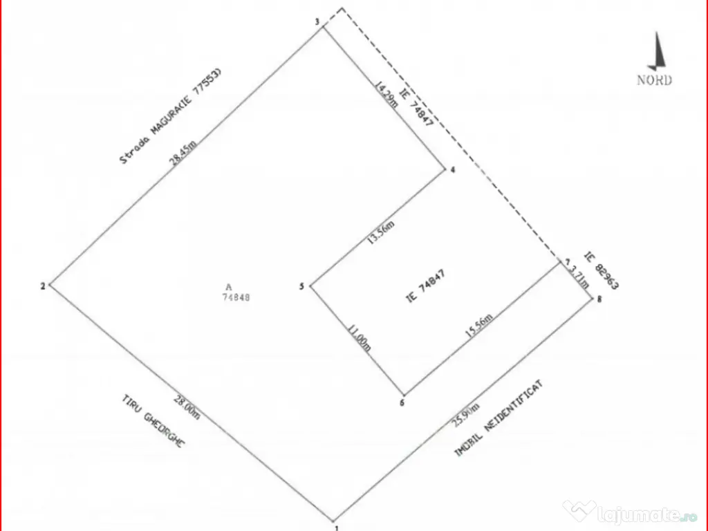 TARTASESTI, LOT 801 MP!