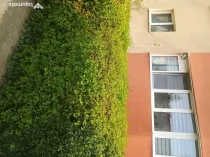 Apartament de vânzare 2 camere central