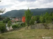 Teren intravilan 3214 mp în Rucăr cu deschidere 56 m î... 