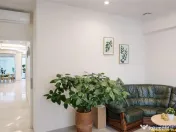 Spatiu medical,avize conforme: stomatologie,radiologie,medic 