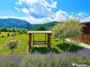 Refugiu pretios:jacuzzi, lemn masiv,2.000 mp teren,4 dormito 