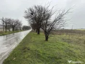 Teren extravilan 21.200 mp, zona Lumina 