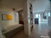 2 Camere Studio Piata Victoriei- Sfintii Voievozi 