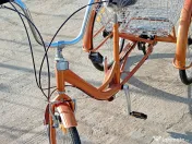 Bicicletta 3 roti 
